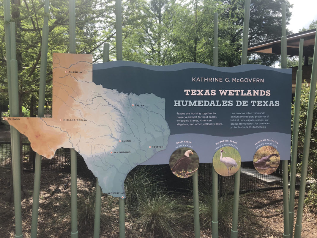 houston zoo texas wetlands graphic